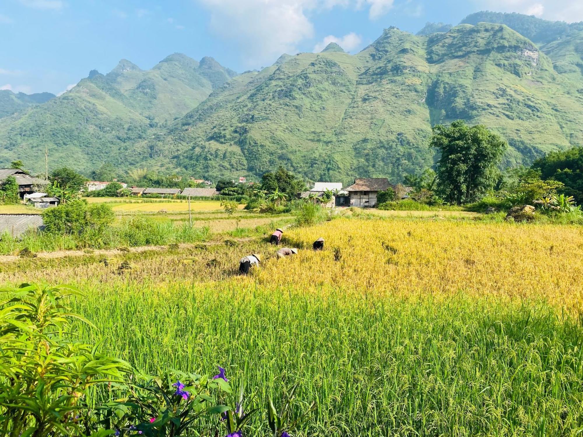 Du Gia Field View Homestay Lang Cac ภายนอก รูปภาพ