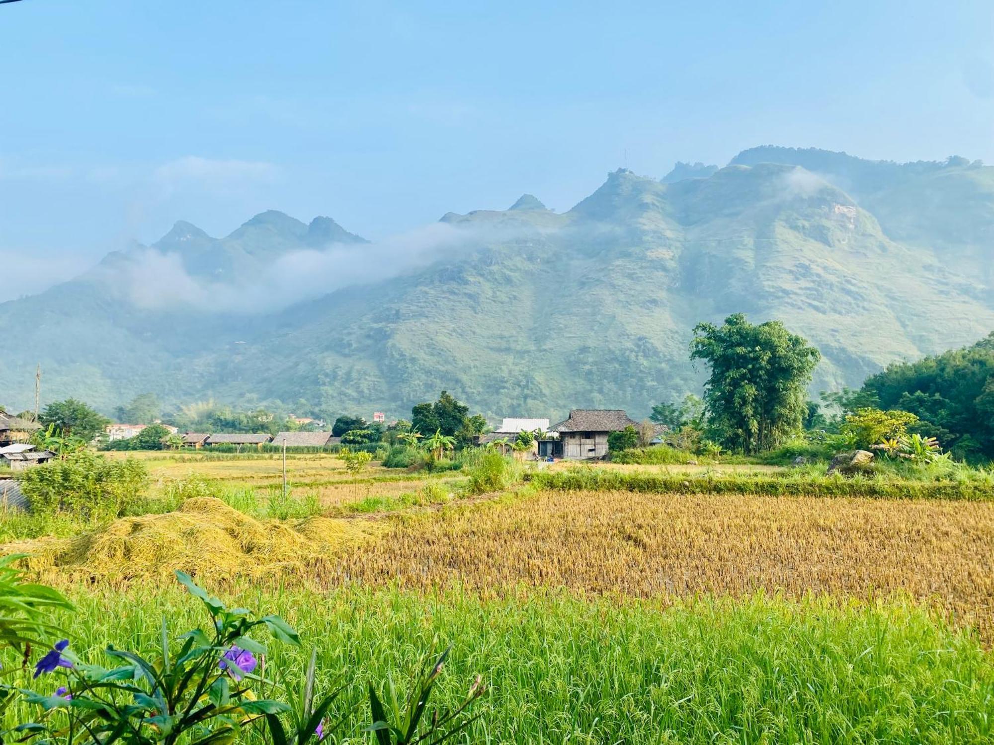 Du Gia Field View Homestay Lang Cac ภายนอก รูปภาพ
