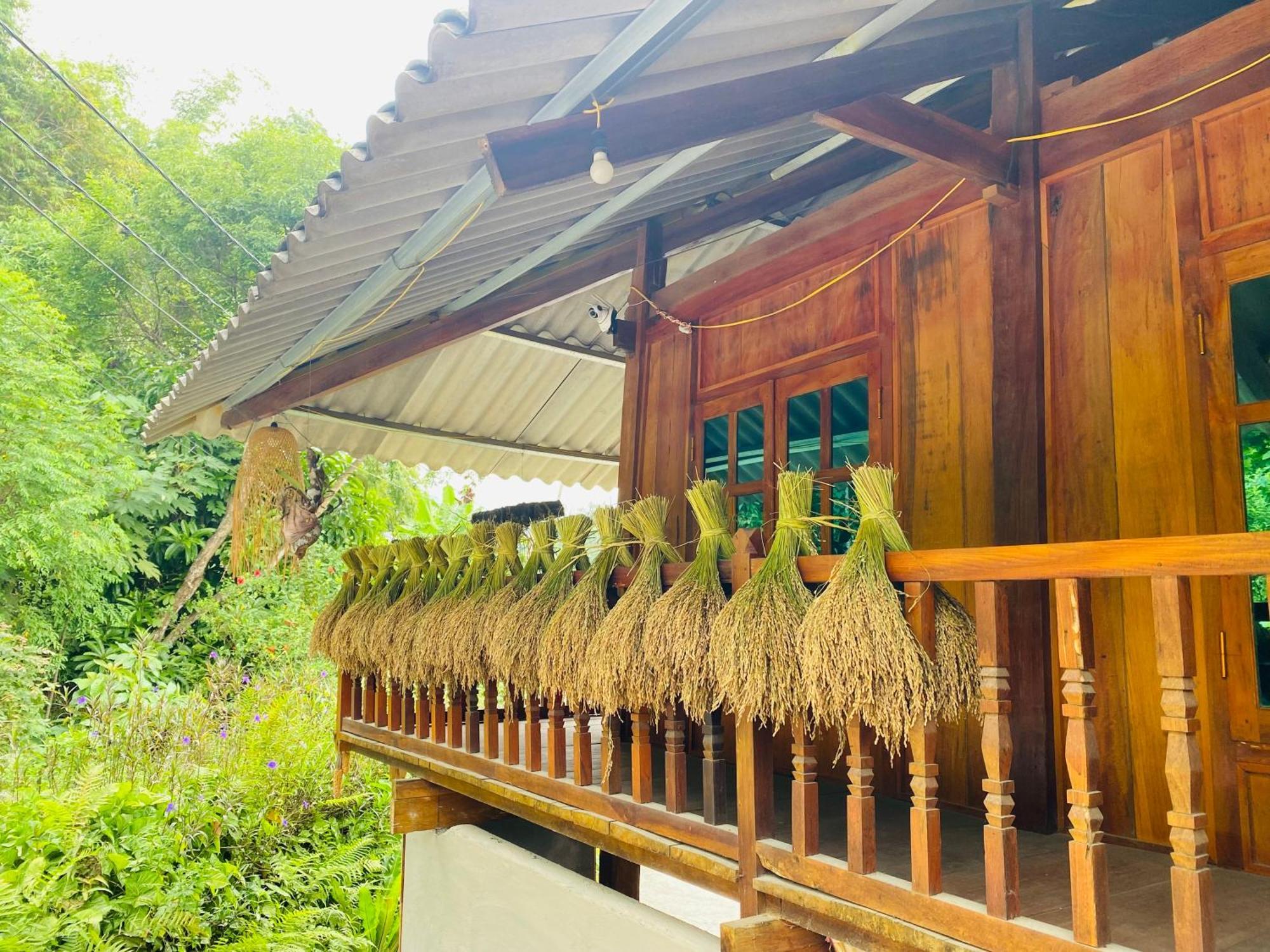 Du Gia Field View Homestay Lang Cac ภายนอก รูปภาพ