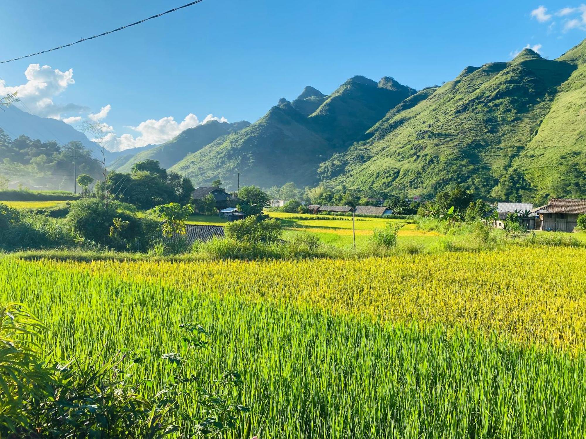 Du Gia Field View Homestay Lang Cac ภายนอก รูปภาพ
