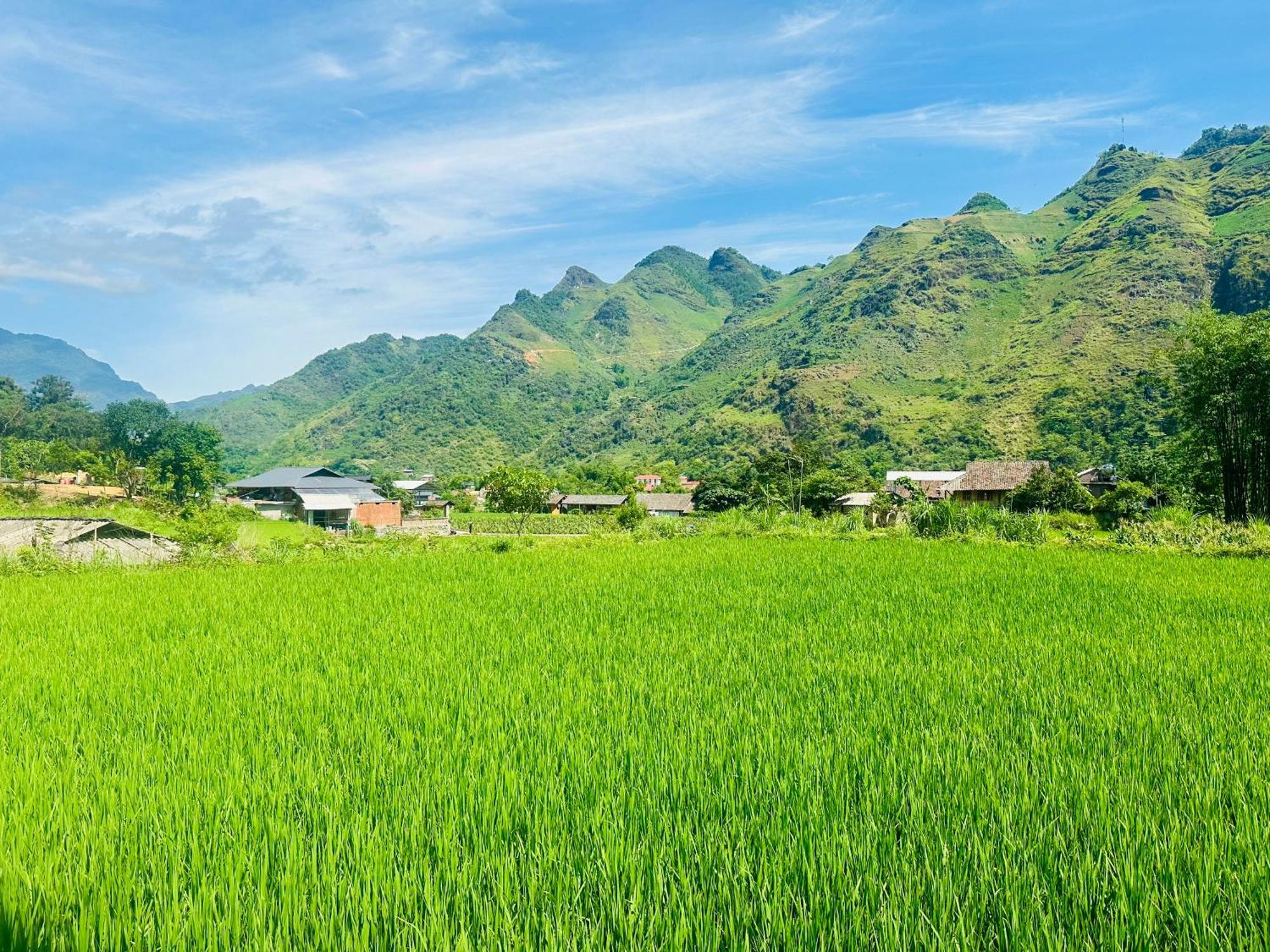 Du Gia Field View Homestay Lang Cac ภายนอก รูปภาพ